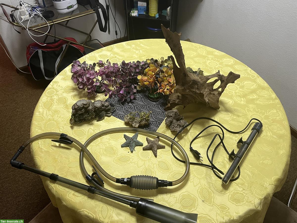 Bild 3: Eck Aquarium 150 Liter mit Filter & Heizstab plus Deko