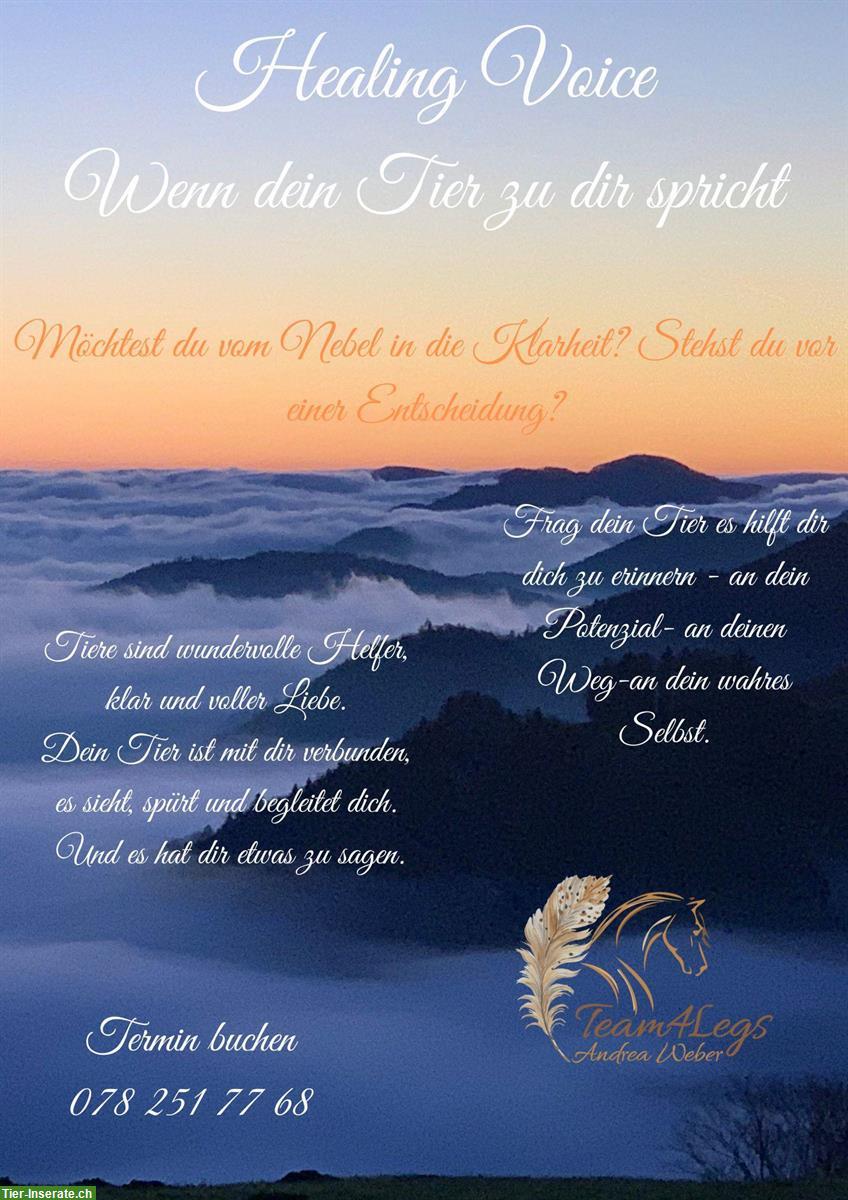 Healing Voice - wenn dein Tier zu Dir spricht