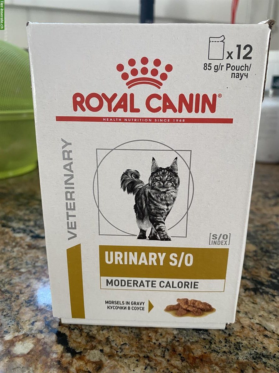 Katzen Nassfutter Royal Canin wegen Futterumstellung abzugeben