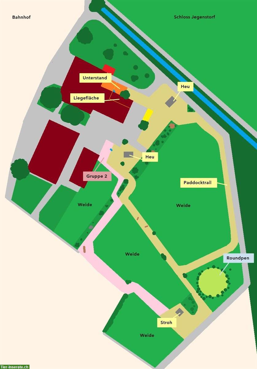 Bild 6: Offenstall / Bewegungsstall mit Paddocktrail für Kleinpferde