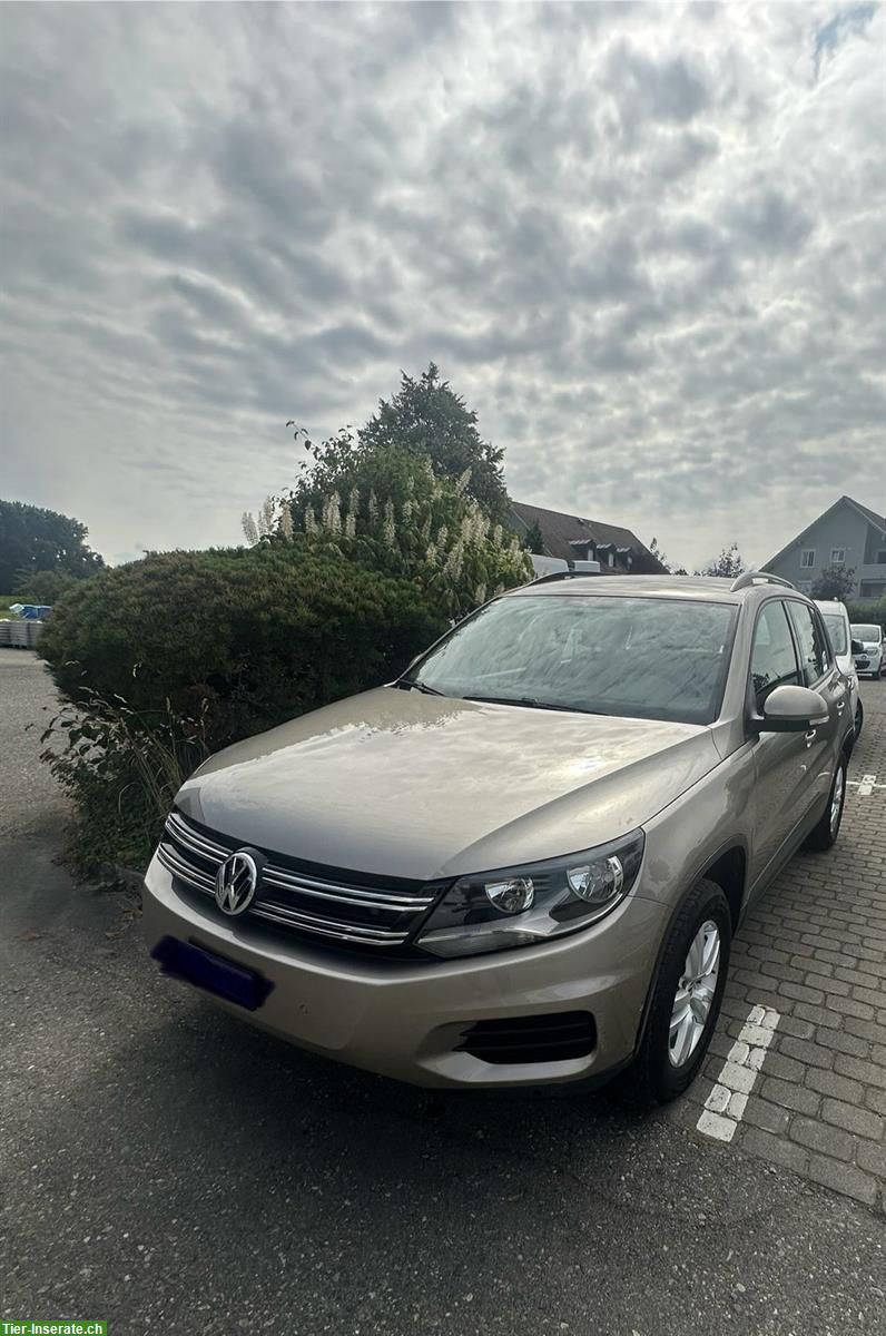Bild 2: Occasion VW Tiguan 2500 kg Zugkraft ab MFK