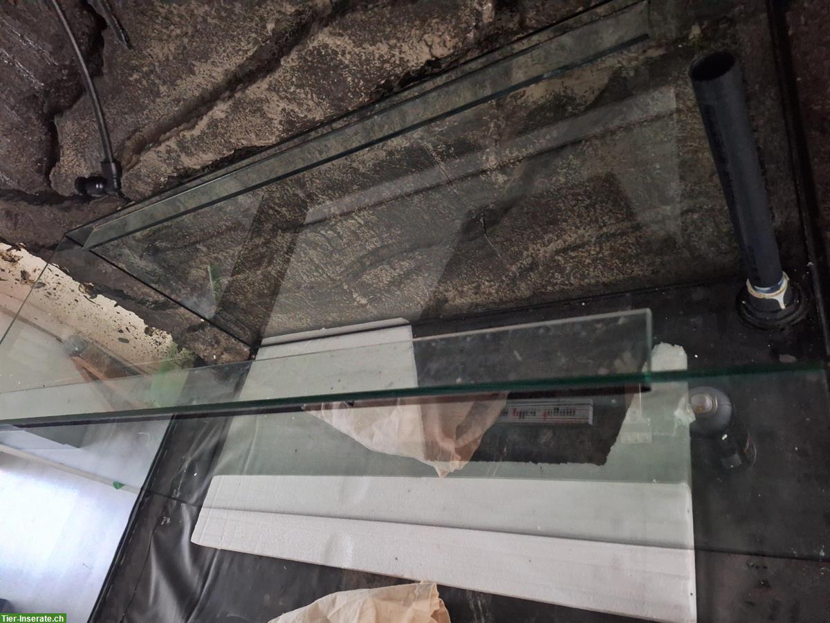 Bild 2: 240 Liter Aquarium 120x40x50cm