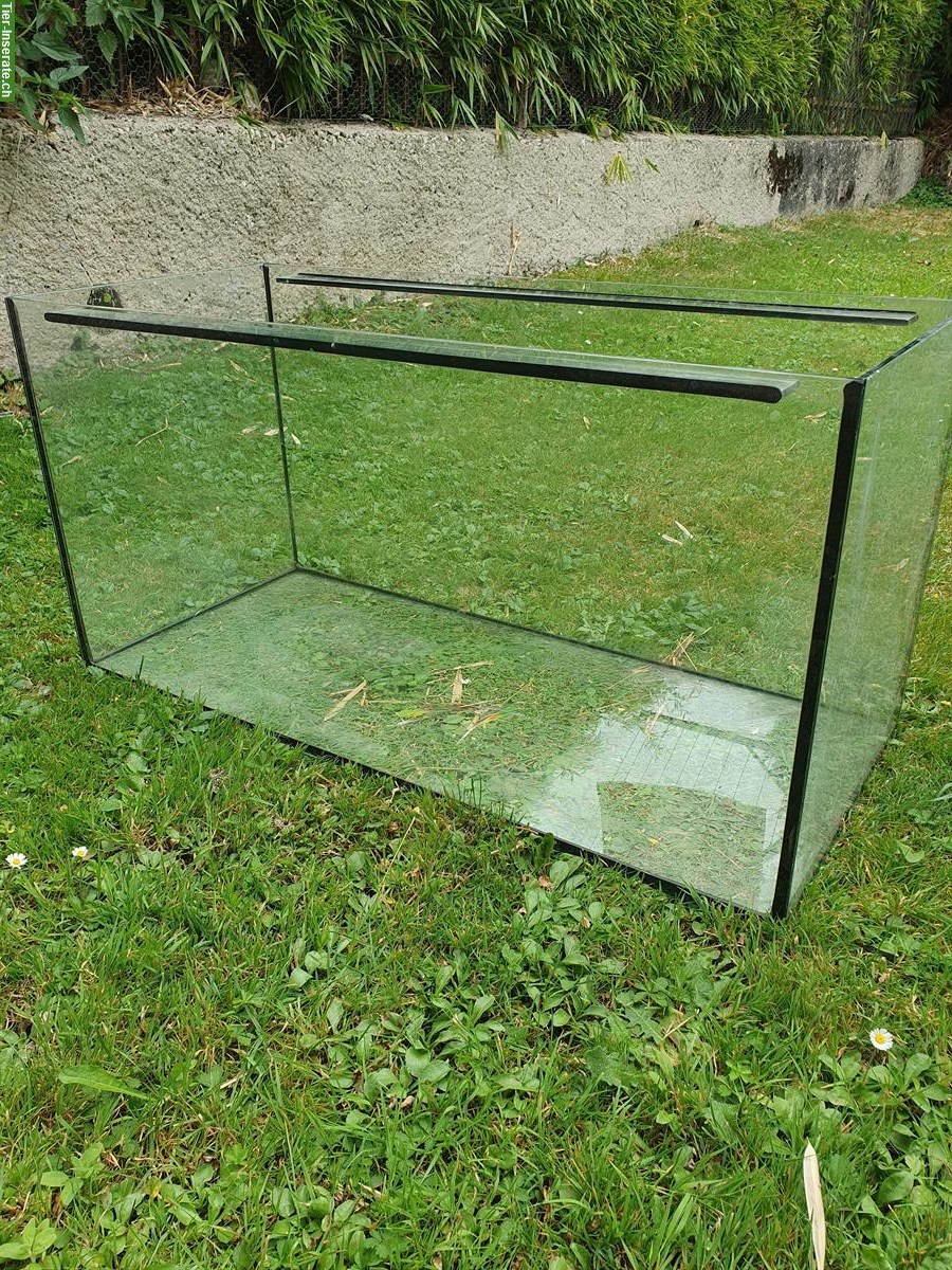Aquarium / Terrarium 80x35x40cm zu verkaufen