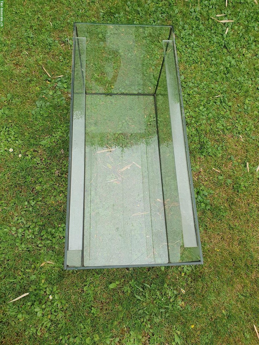 Bild 2: Aquarium / Terrarium 80x35x40cm zu verkaufen