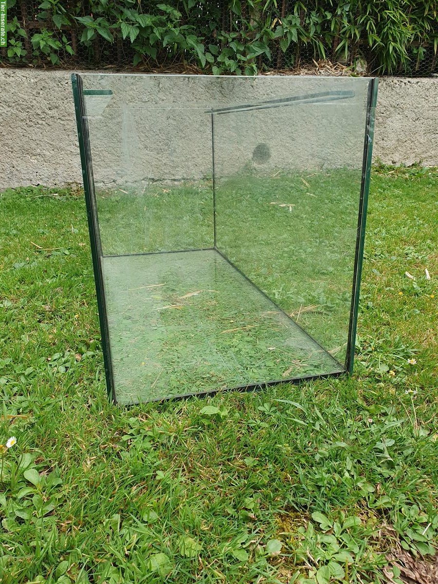 Bild 3: Aquarium / Terrarium 80x35x40cm zu verkaufen