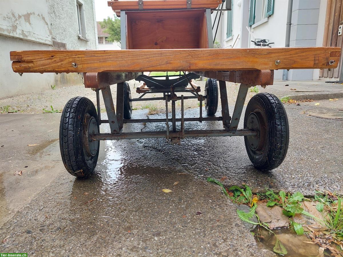Bild 10: Schneggenburger Ponywagen zu verkaufen