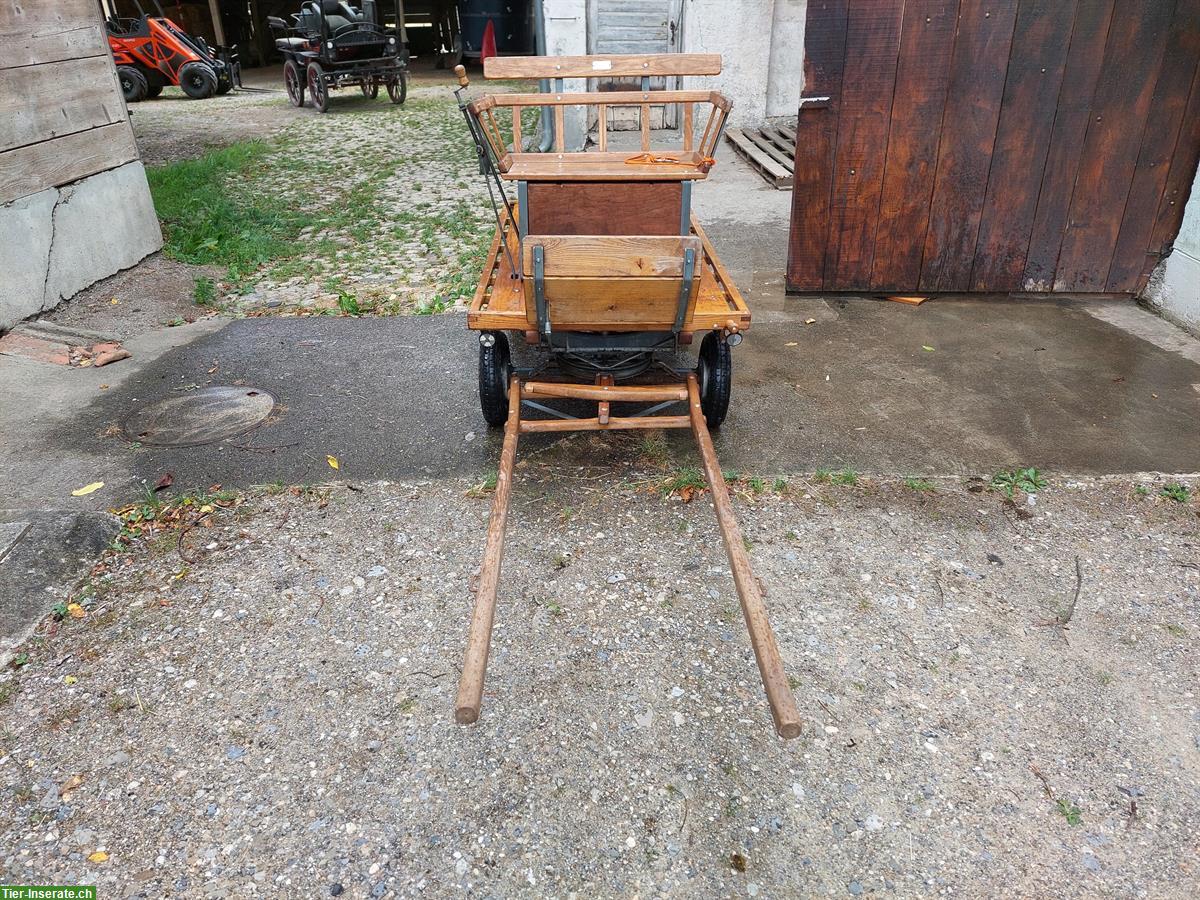 Bild 2: Schneggenburger Ponywagen zu verkaufen