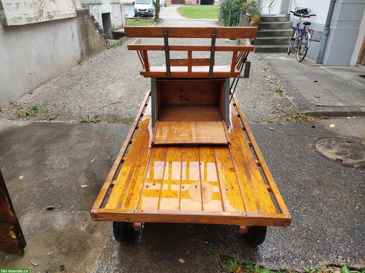 Bild 4: Schneggenburger Ponywagen zu verkaufen