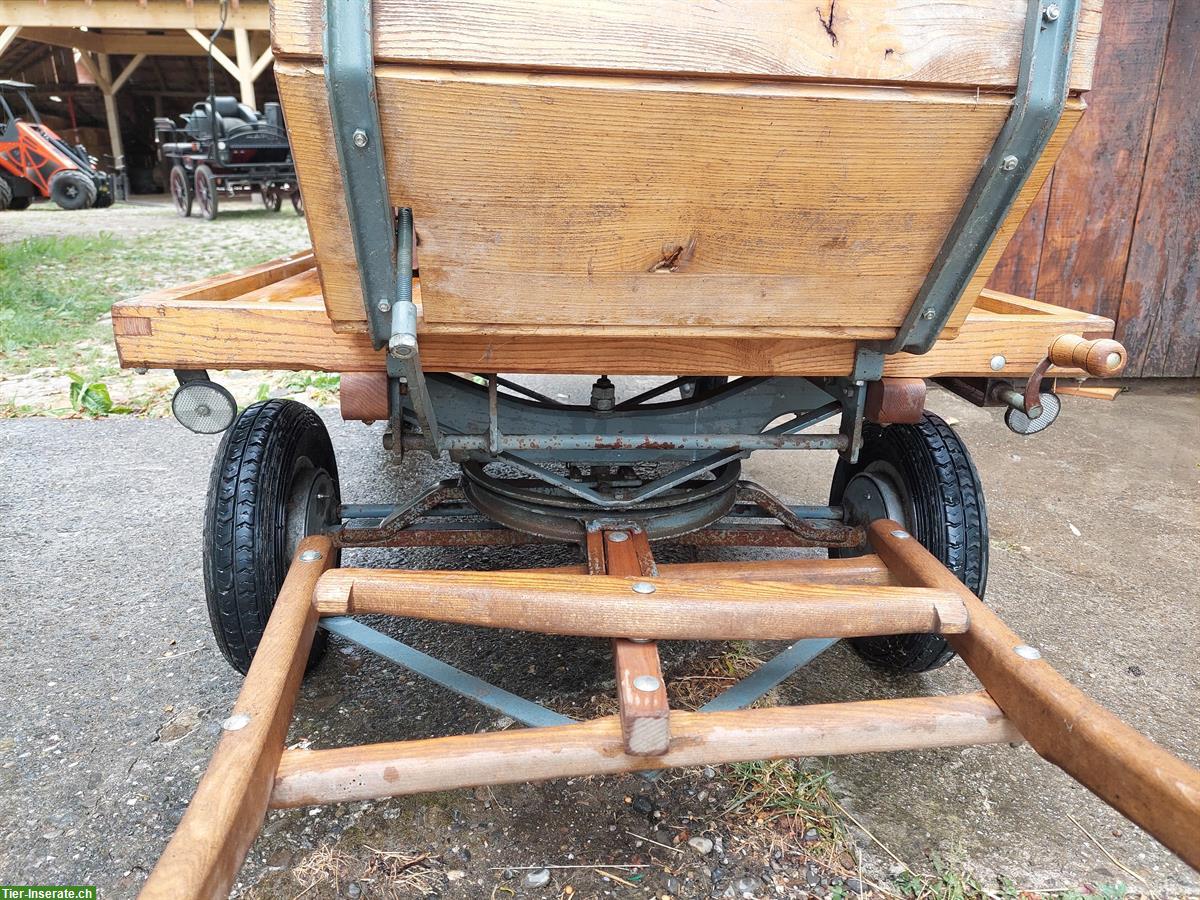 Bild 5: Schneggenburger Ponywagen zu verkaufen
