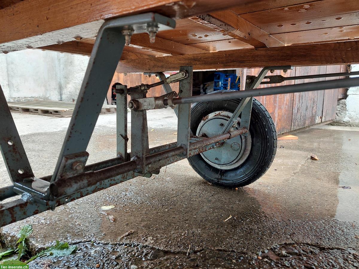 Bild 7: Schneggenburger Ponywagen zu verkaufen
