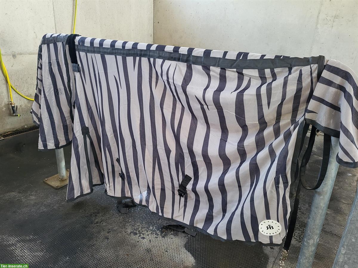 Bild 2: Neue Fliegendecke Zebraprint von Royal-Blanket 155