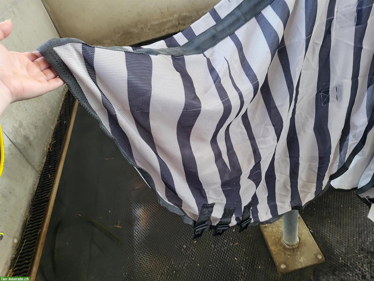 Bild 4: Neue Fliegendecke Zebraprint von Royal-Blanket 155