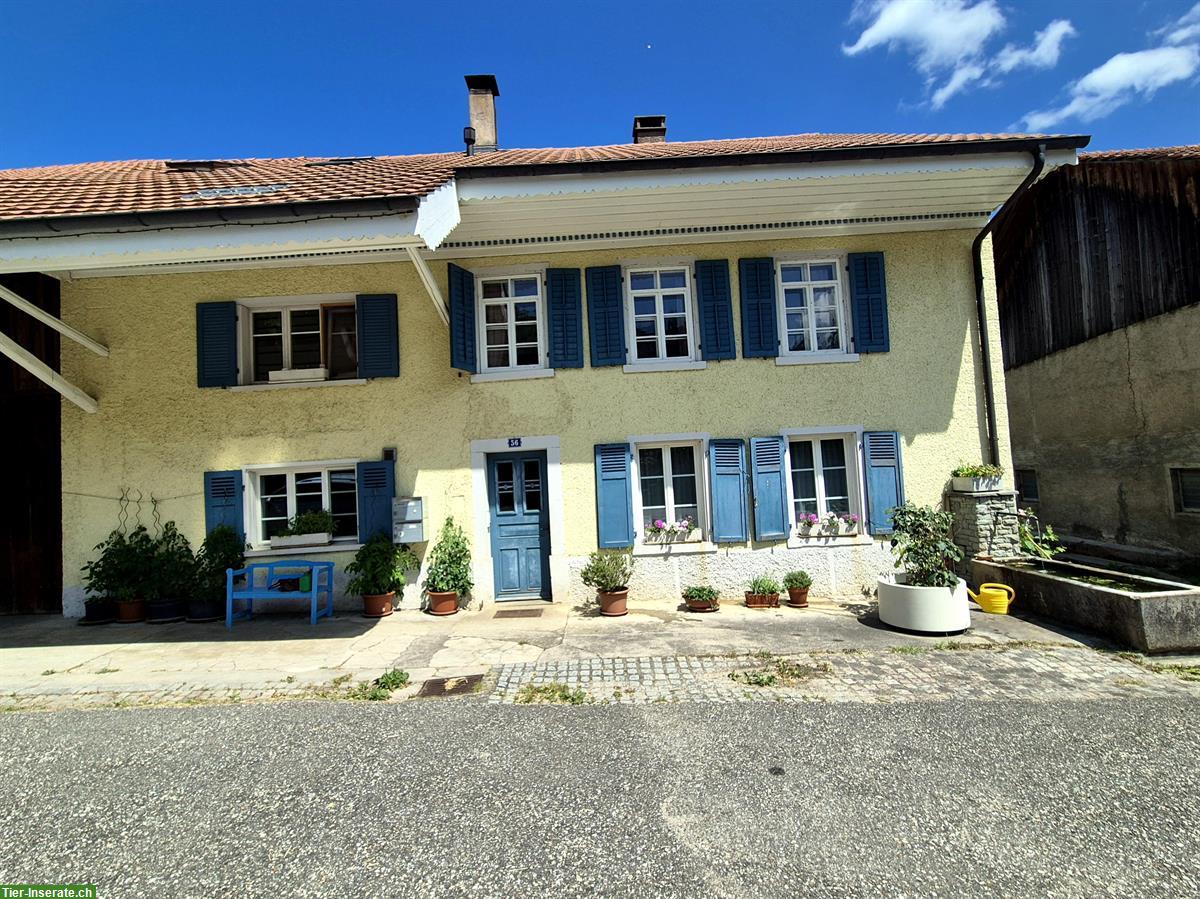 Verkauf: Charmante Parterre Wohnung in Bauernhaus