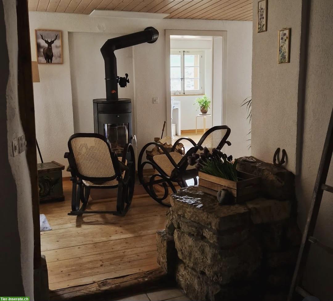 Bild 10: Verkauf: Charmante Parterre Wohnung in Bauernhaus