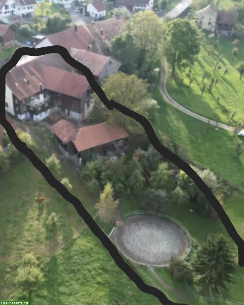 Bild 2: Verkauf: Charmante Parterre Wohnung in Bauernhaus