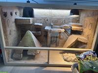 Gebrauchtes Holzterrarium für Reptilienliebhaber!