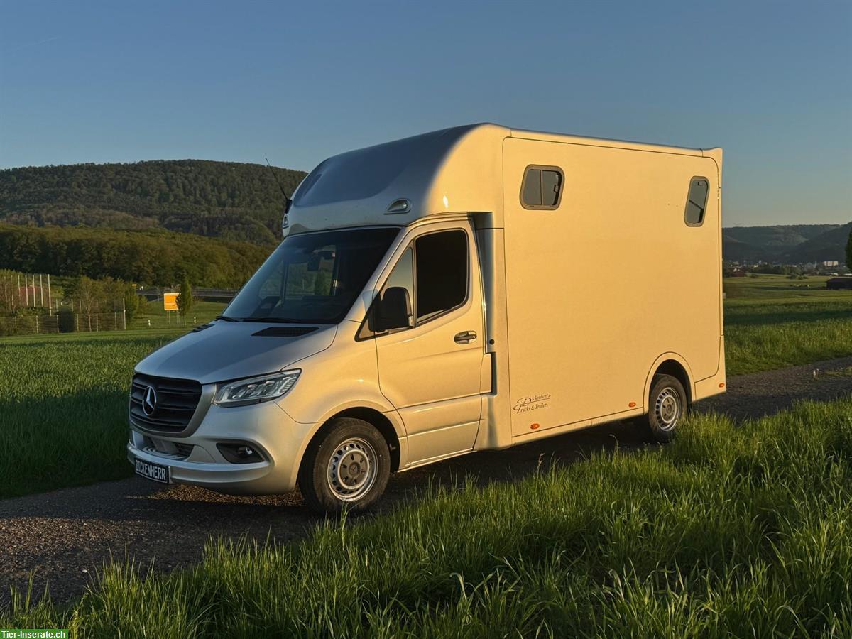 Bild 10: Dickenherr 2-Ride Pferdetransporter Mercedes Automatik