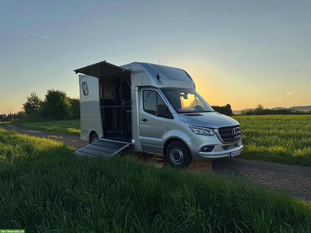 Bild 2: Dickenherr 2-Ride Pferdetransporter Mercedes Automatik