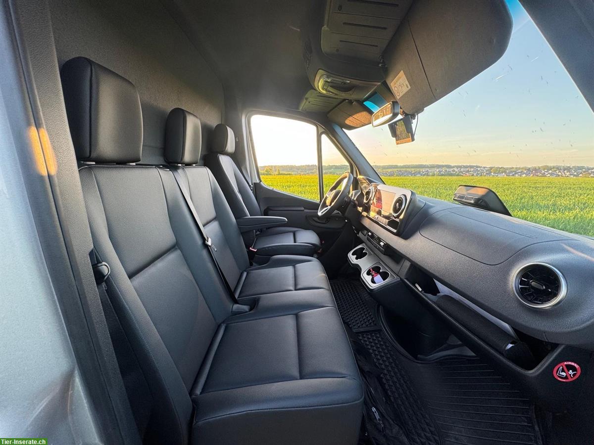 Bild 7: Dickenherr 2-Ride Pferdetransporter Mercedes Automatik