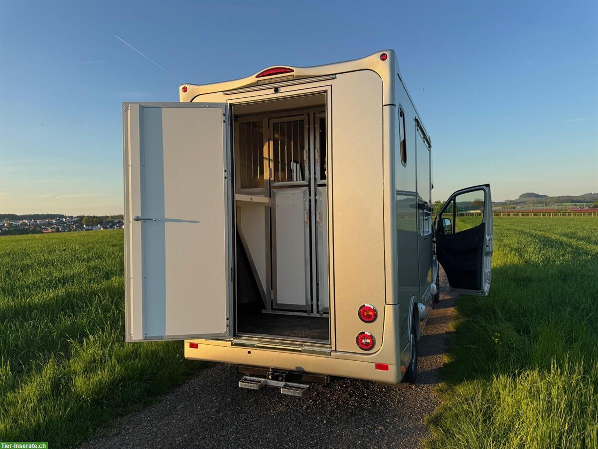 Bild 8: Dickenherr 2-Ride Pferdetransporter Mercedes Automatik