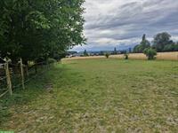 Offenstall zu vermieten, Selbstversorger | Hirschthal im Aargau