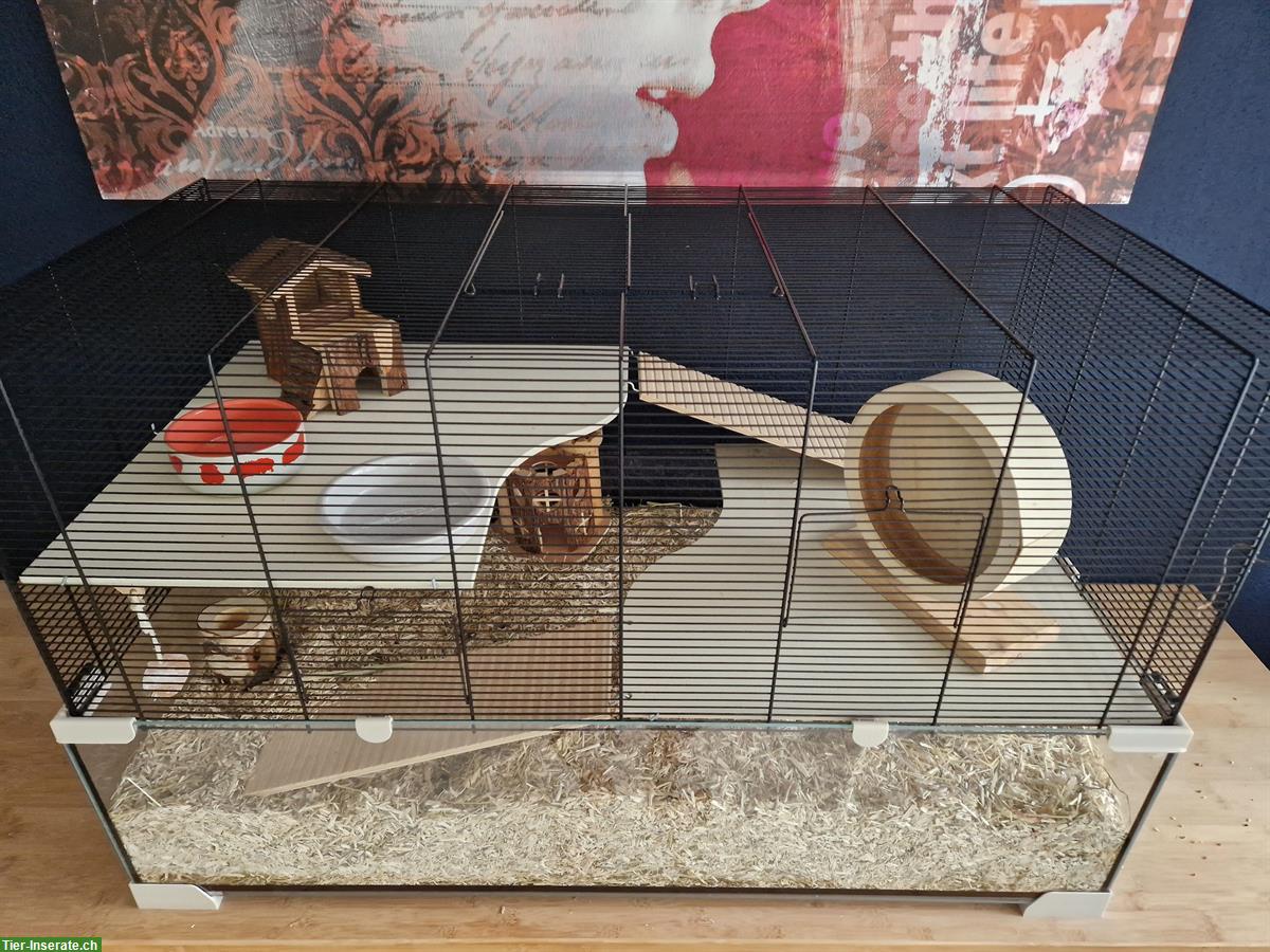 Hamsterkäfig mit Zubehör abzugeben