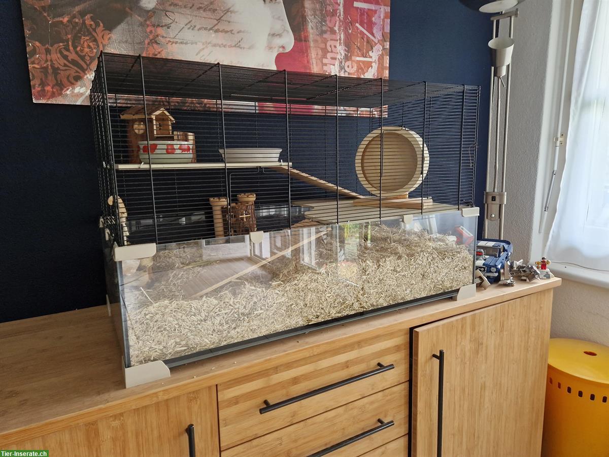 Bild 2: Hamsterkäfig mit Zubehör abzugeben