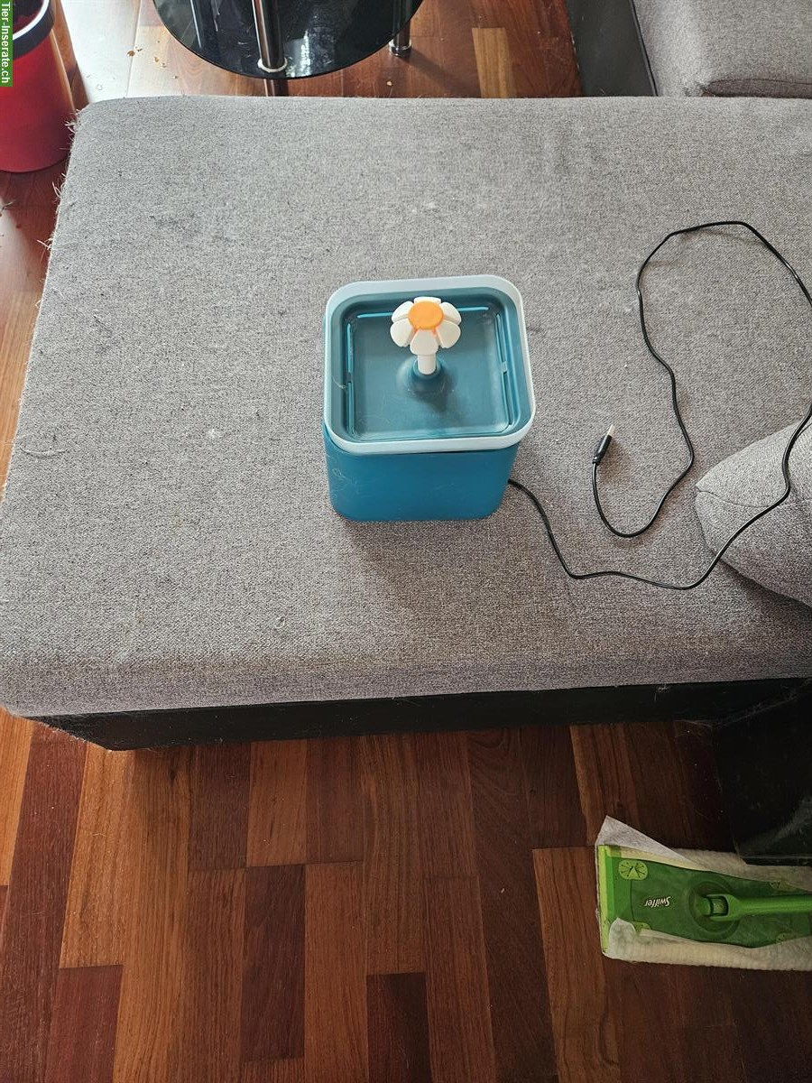 Diverse Katzen Utensilien: Katzenklo, Trinkbrunnen...
