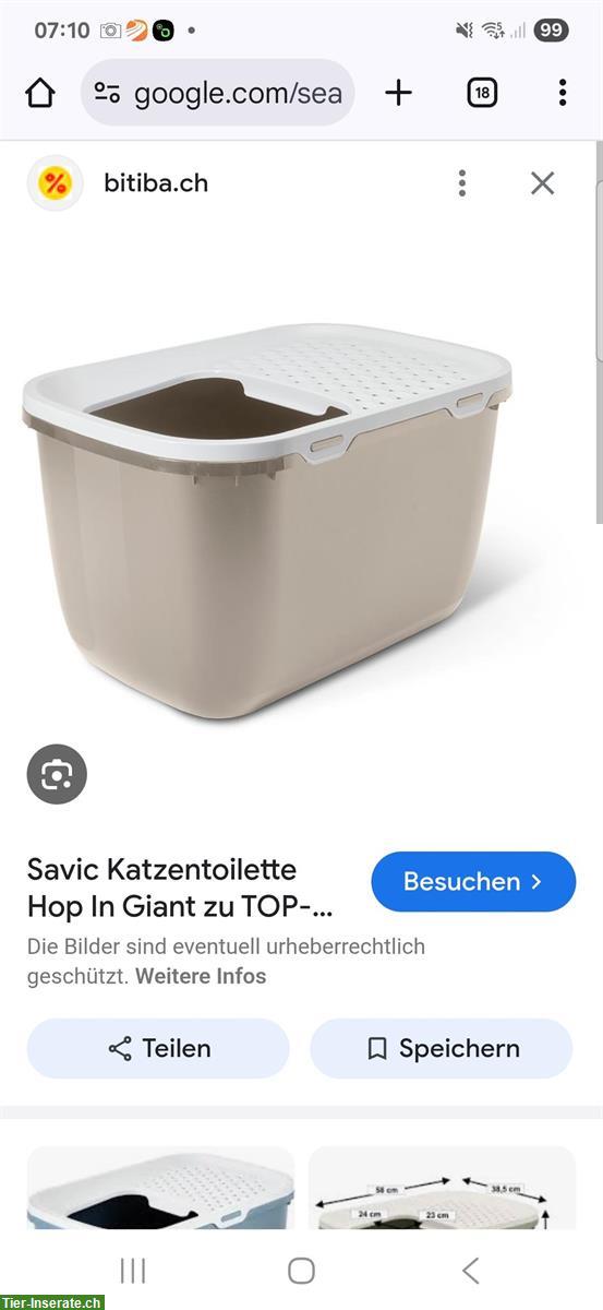 Bild 6: Diverse Katzen Utensilien: Katzenklo, Trinkbrunnen...