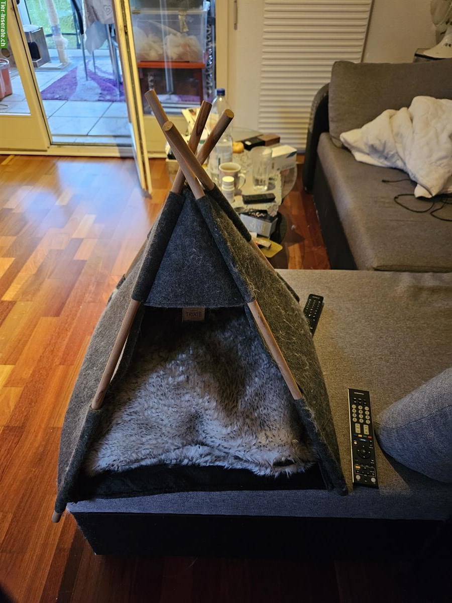 Bild 7: Diverse Katzen Utensilien: Katzenklo, Trinkbrunnen...
