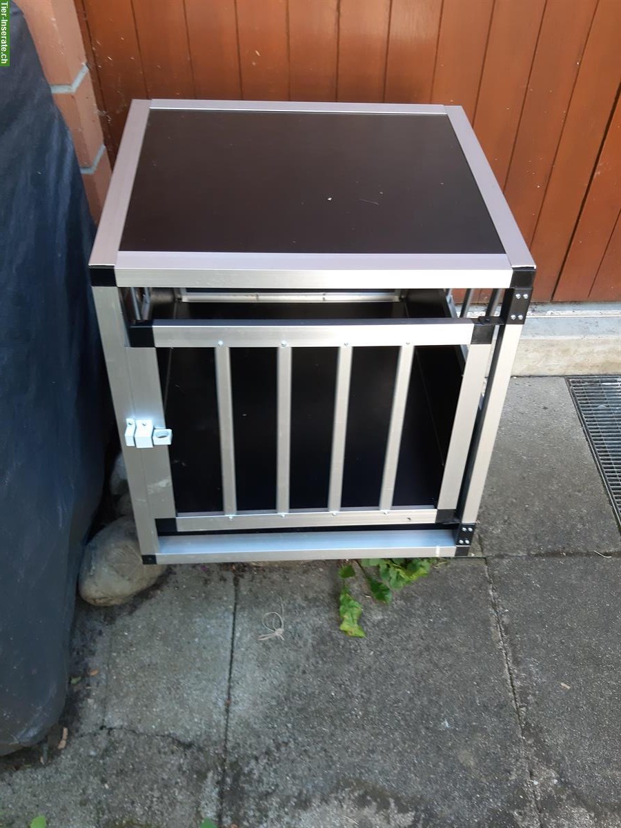 Bild 3: Hundebox fürs Auto zu verkaufen