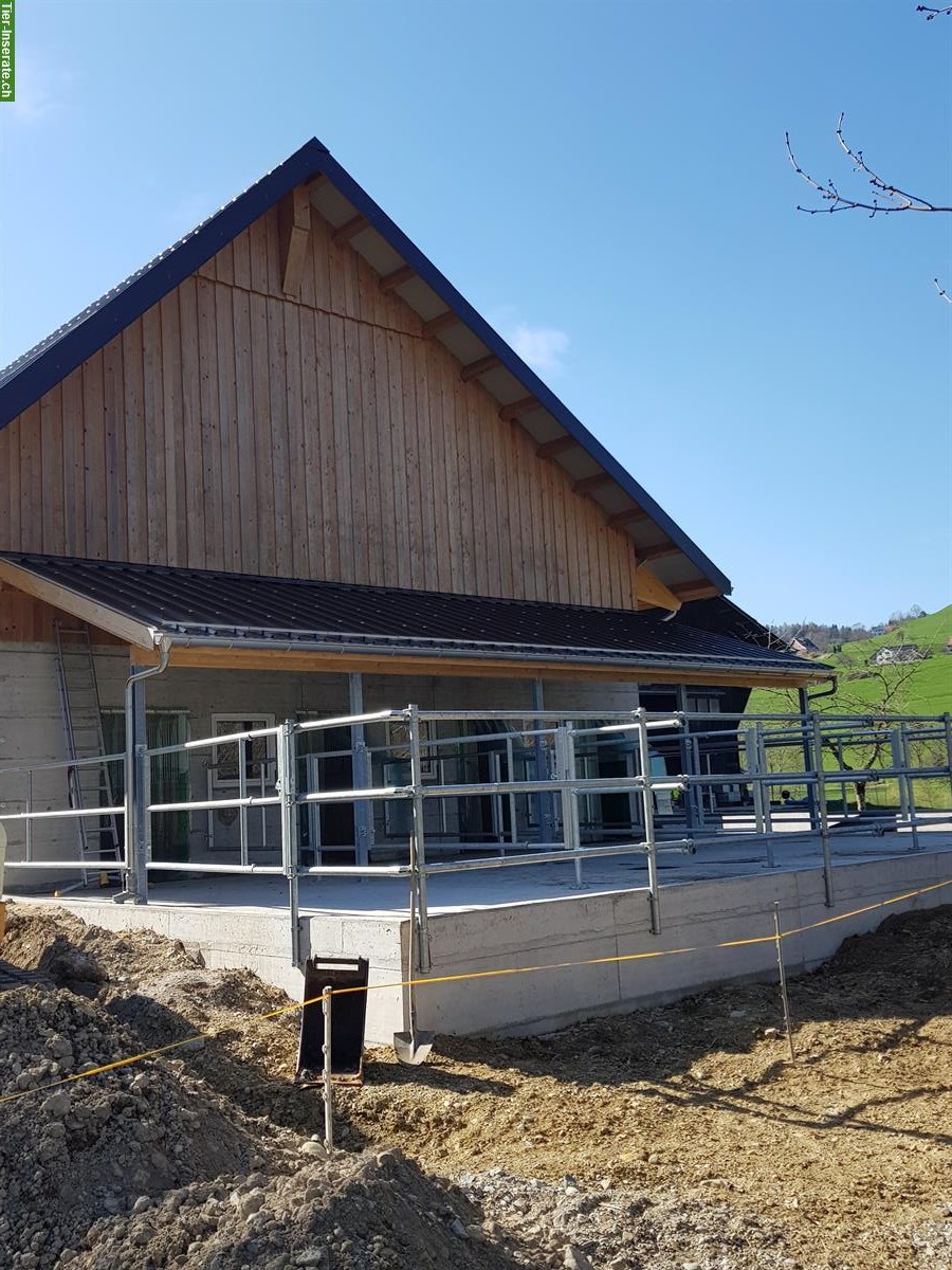 Bild 3: Auslaufboxe in neuem Stall in Gähwil SG