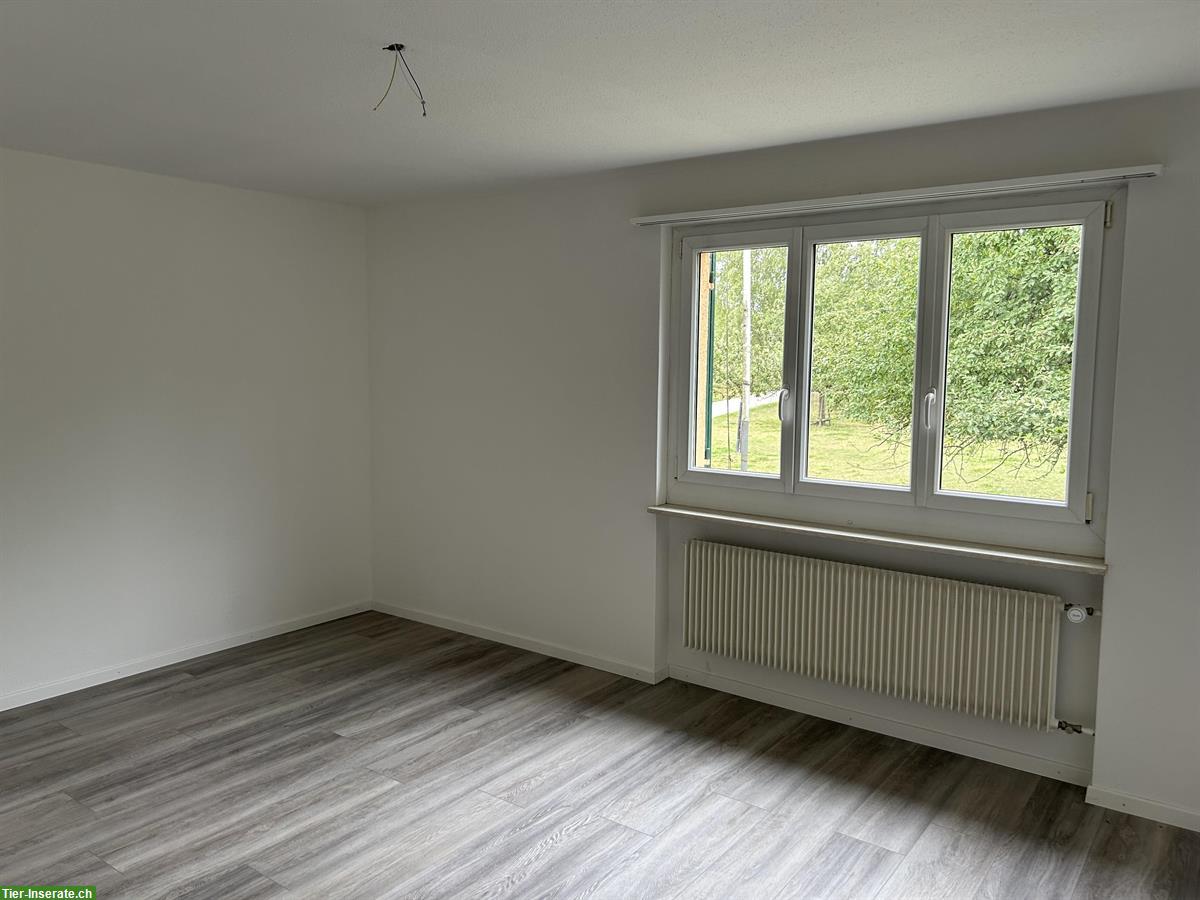 Bild 3: 2-Zimmer Wohnung auf Bauernhof zu vermieten