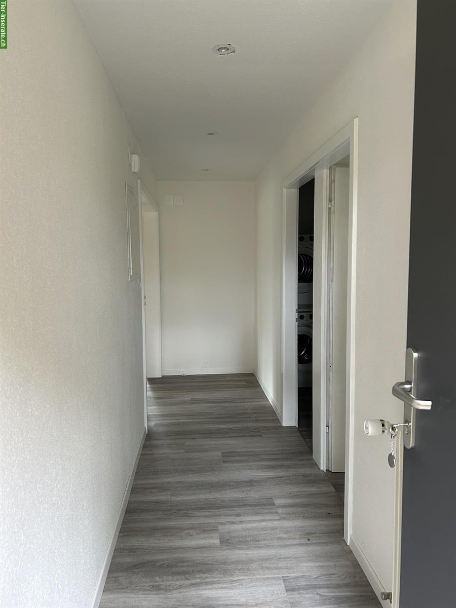 Bild 7: 2-Zimmer Wohnung auf Bauernhof zu vermieten