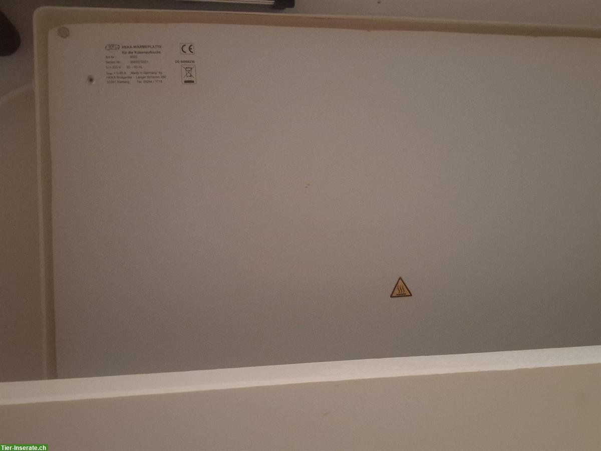 Bild 3: Lanzo Terrarium 150x70x80cm - auch mit Zubehör