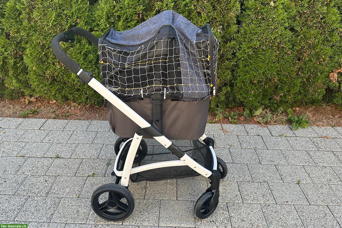 Buggy von Swisspet für kleine Hunde oder Katzen