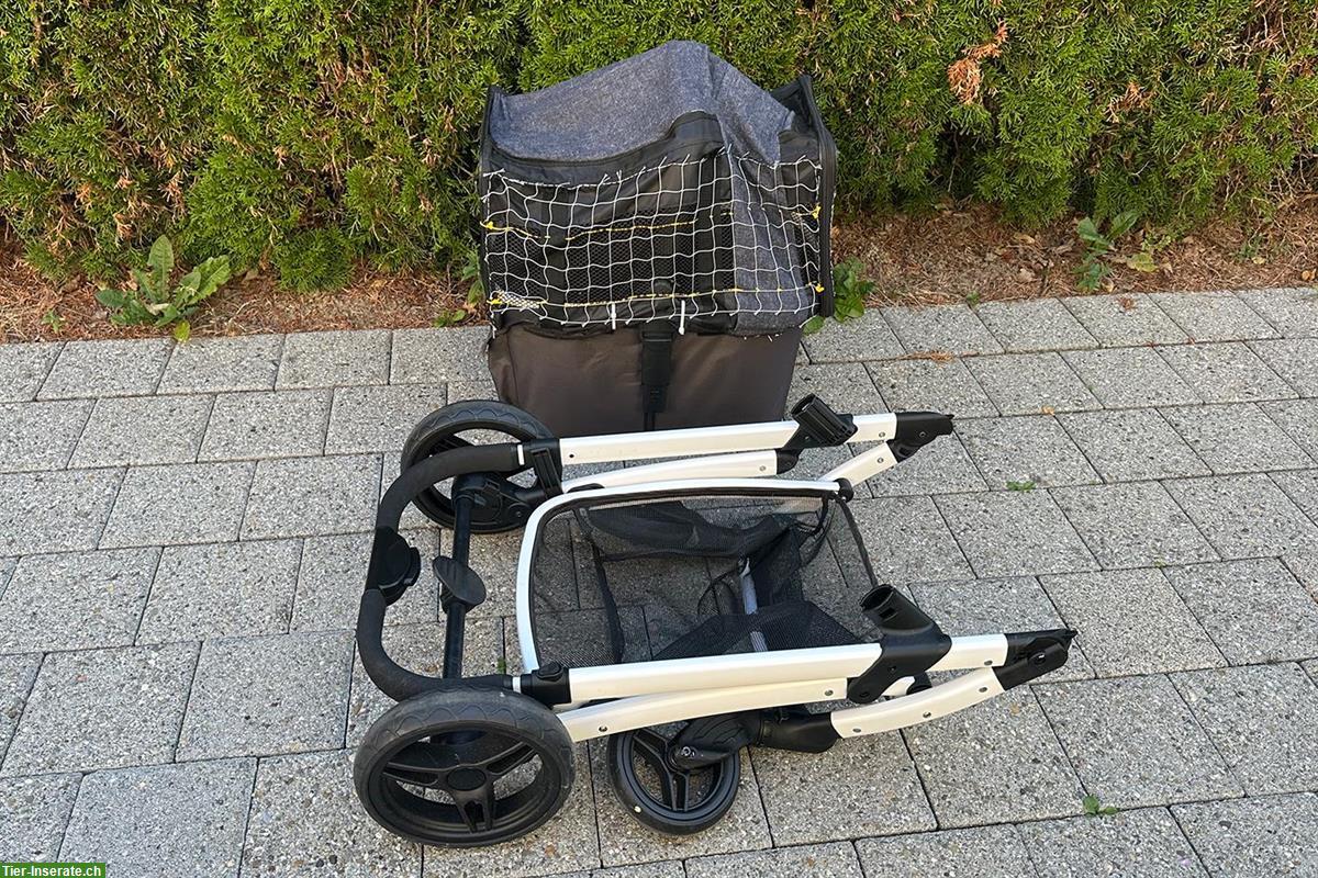 Bild 2: Buggy von Swisspet für kleine Hunde oder Katzen