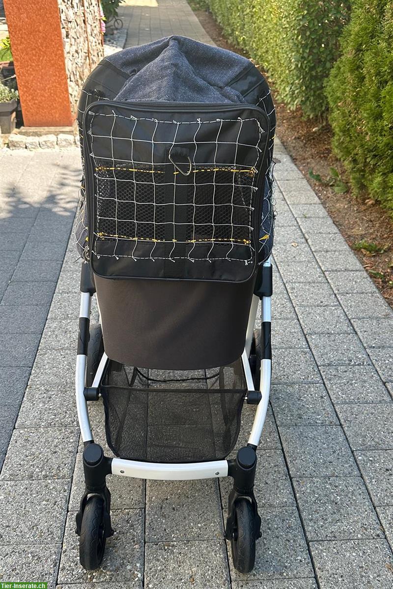 Bild 5: Buggy von Swisspet für kleine Hunde oder Katzen