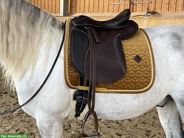 Bild 6: Lederbaumsattel VSD HT Willow, 17.5 Zoll