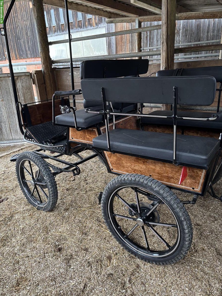Bild 2: Kutsche / Wagonette für Pony(s) zu verkaufen