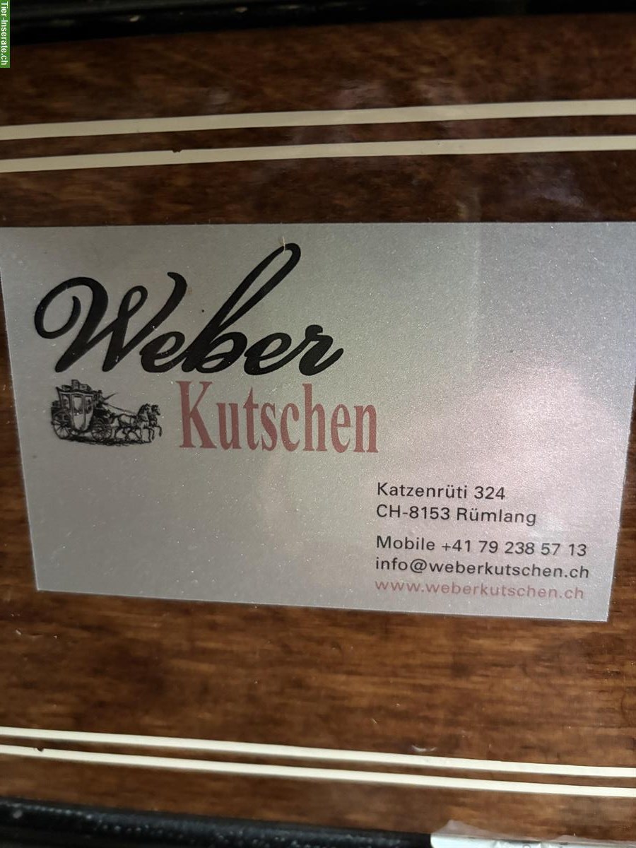 Bild 4: Kutsche / Wagonette für Pony(s) zu verkaufen