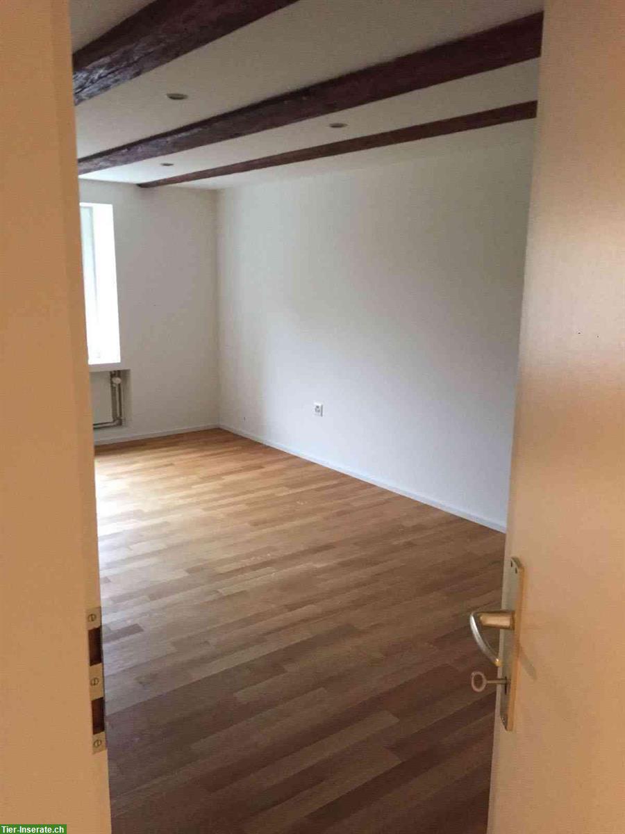 Bild 8: 3.5-Zimmer Wohnung | eigener 100m²-Garten für Deinen Vierbeiner
