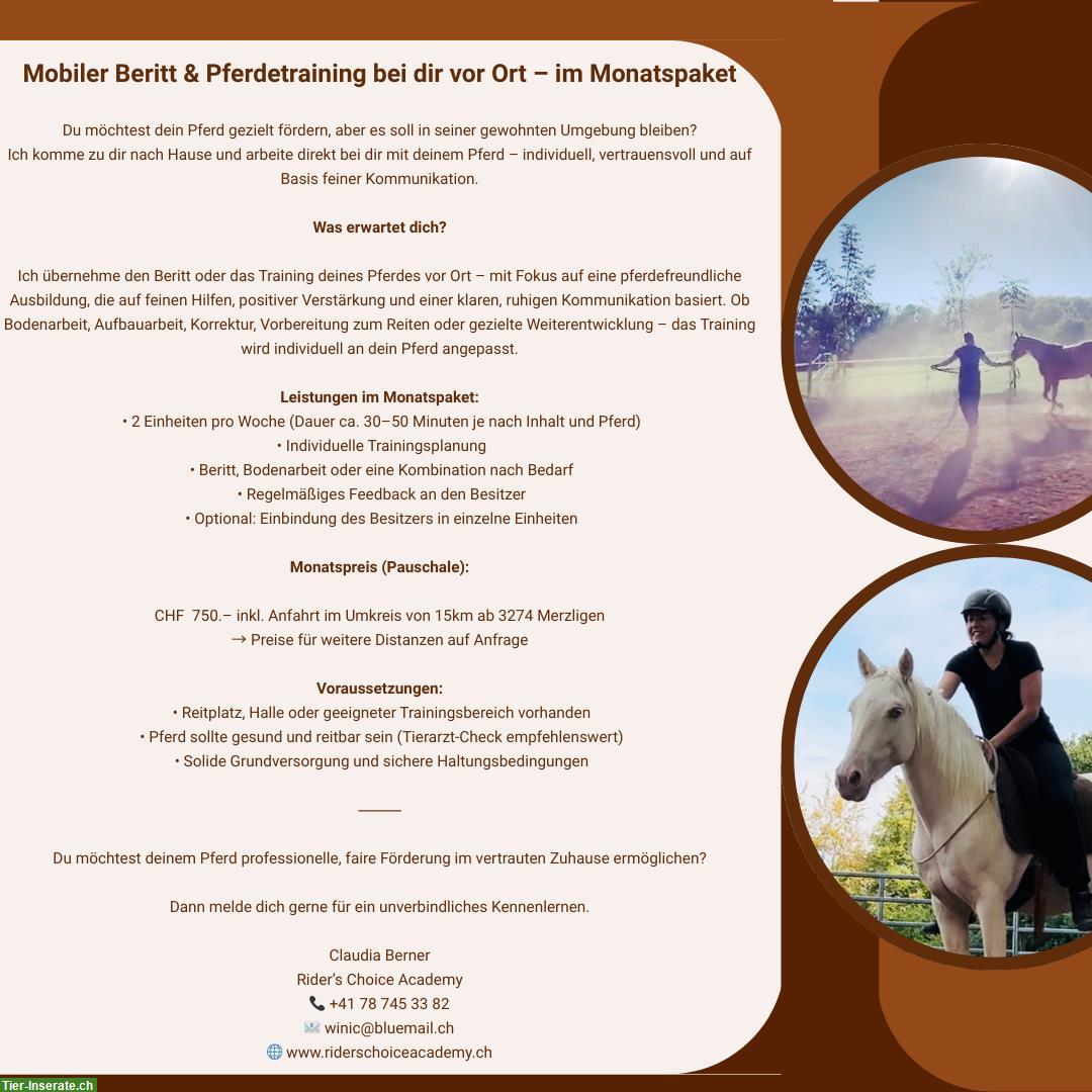 Mobiler Beritt & Pferdetraining bei dir