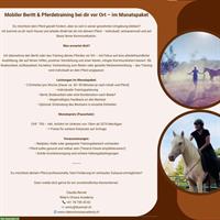Mobiler Beritt & Pferdetraining bei dir