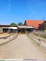 Auslaufboxe/Offenstall Vollpension frei in Cham ZG