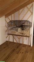 Nagerterrarium Skyline Nagerheim Lupo 120