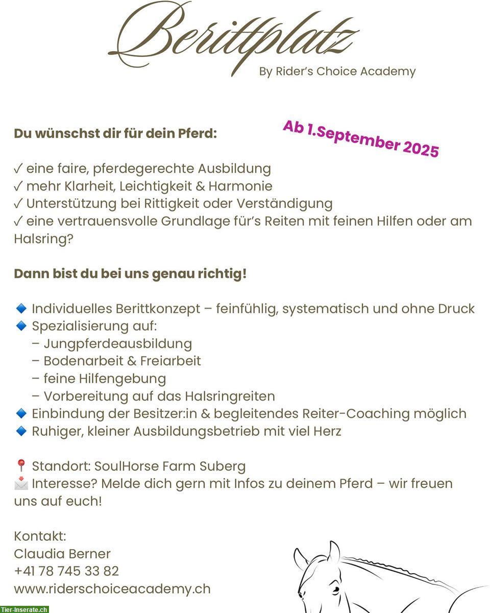 Berittplatz für Jungpferde