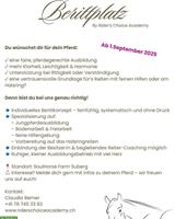 Berittplatz für Jungpferde