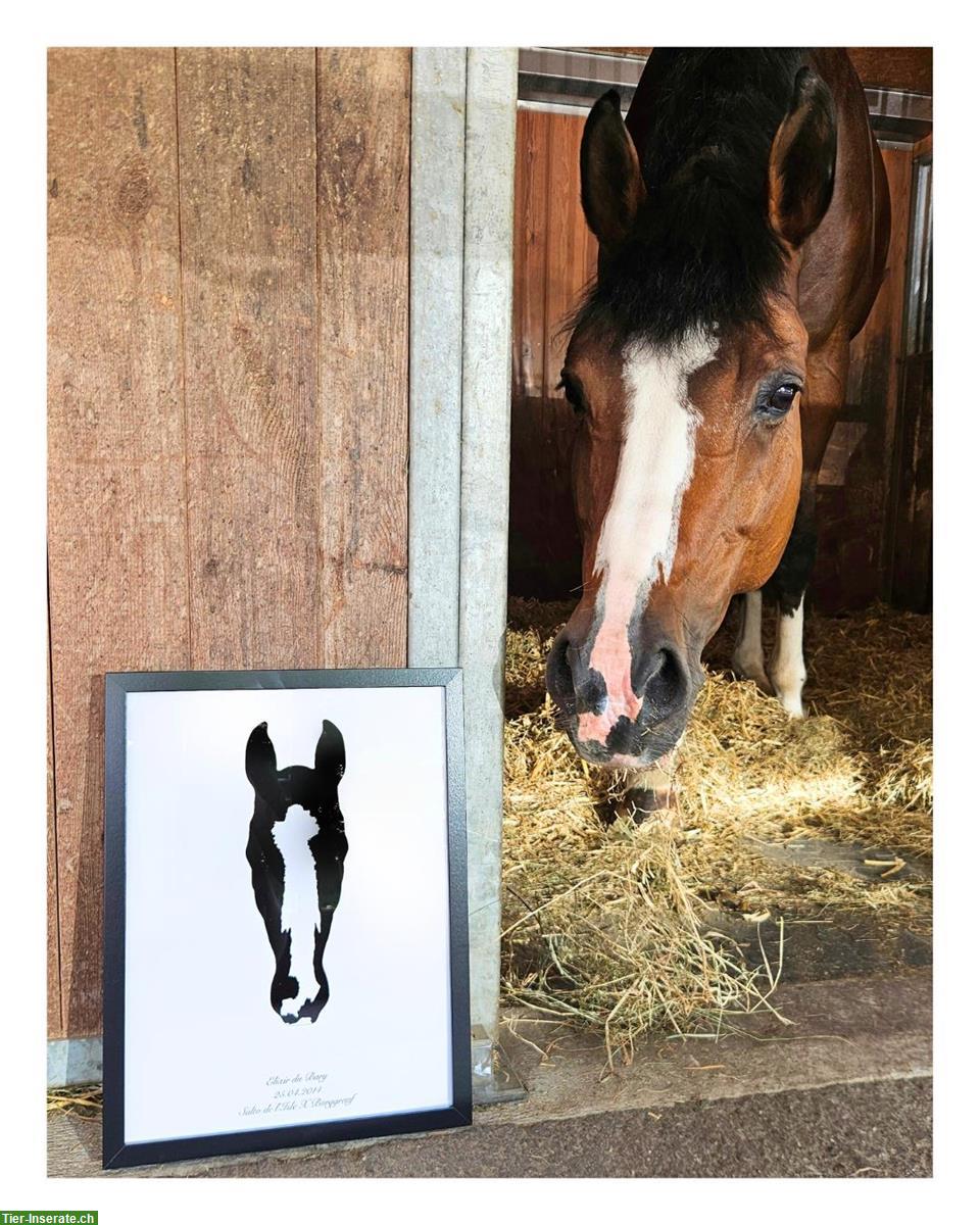 Tier-/Pferdeportrait von deinem Vierbeiner