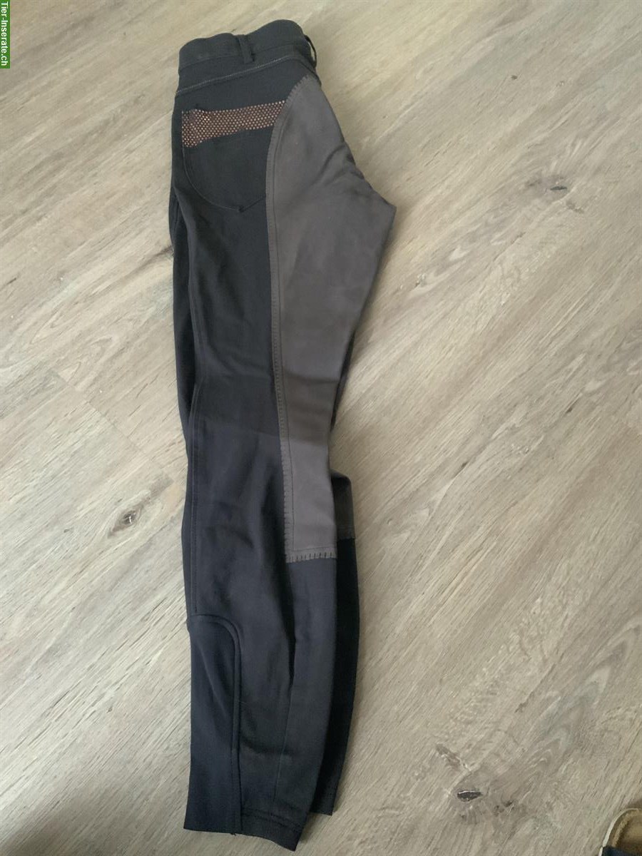 Bild 2: Reithose Pikeur, Grösse 38, dunkelbraun